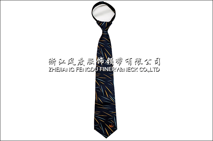 中青旅集團 色真拉帶2。.jpg